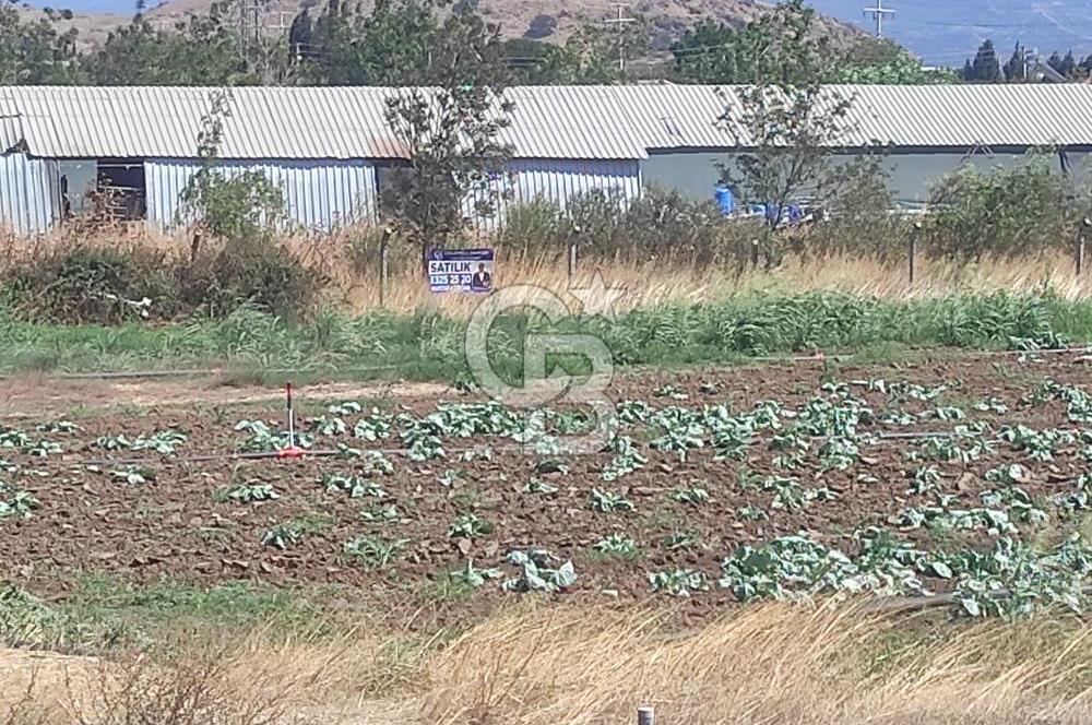 MENEMEN HATUNDEREDE OTOBAN YOLA CEPHELİ TARLA