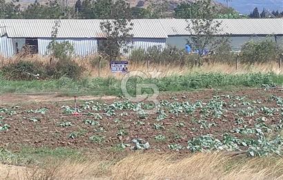 MENEMEN HATUNDEREDE OTOBAN YOLA CEPHELİ TARLA