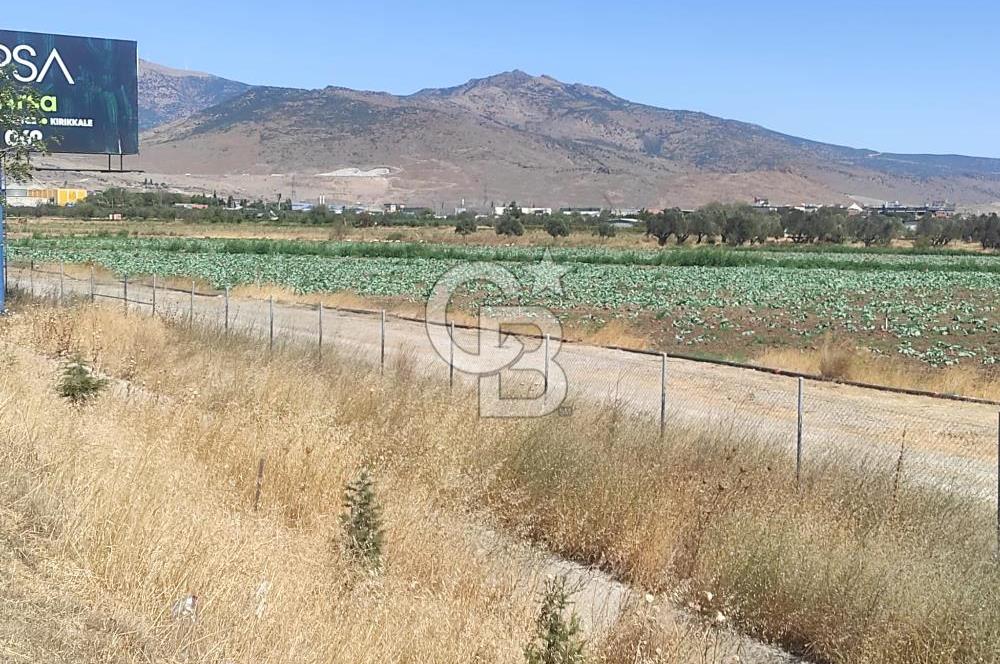 MENEMEN HATUNDERE OTOYOLA CEPHELİ TARLA