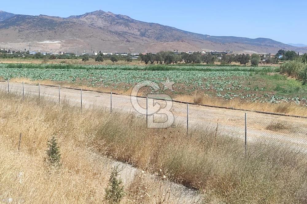 MENEMEN HATUNDERE OTOYOLA CEPHELİ TARLA