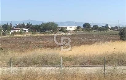 MENEMEN HATUNDERE OTOYOLA CEPHELİ TARLA