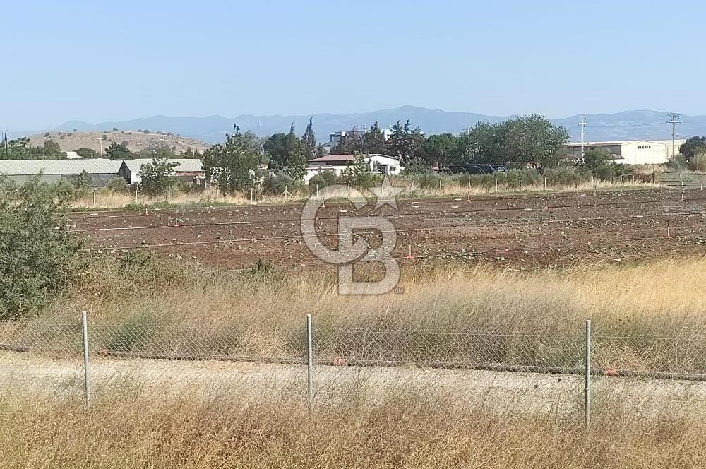 MENEMEN HATUNDERE OTOYOLA CEPHELİ TARLA