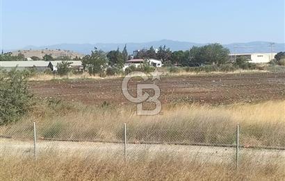 MENEMEN HATUNDERE OTOYOLA CEPHELİ TARLA