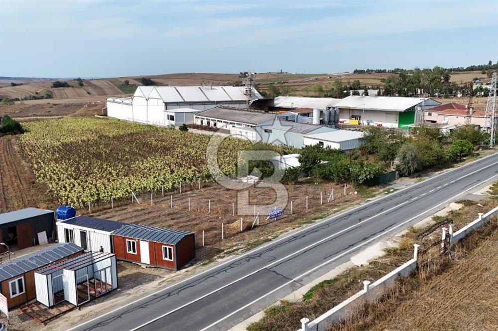 Silivri Değirmenköy Cadde Cepheli Tiny Houselu Yaşam Alanı