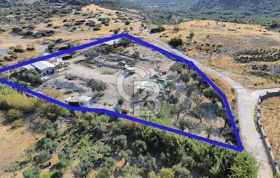 Foça Yeniköy'de Kiralık Ev ve Arazi