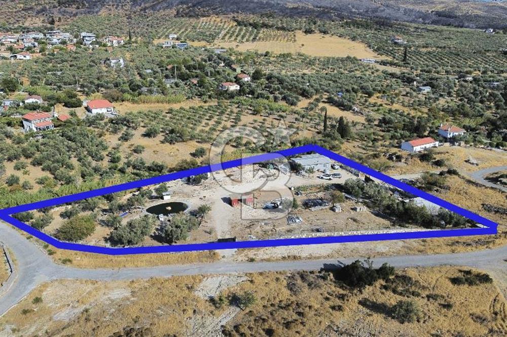 Foça Yeniköy'de Kiralık Ev ve Arazi