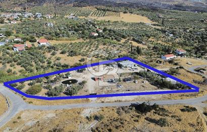 Foça Yeniköy'de Kiralık Ev ve Arazi