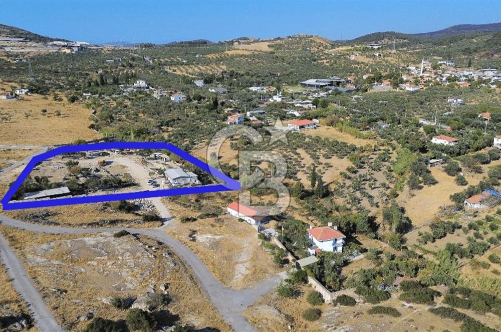 Foça Yeniköy'de Kiralık Ev ve Arazi