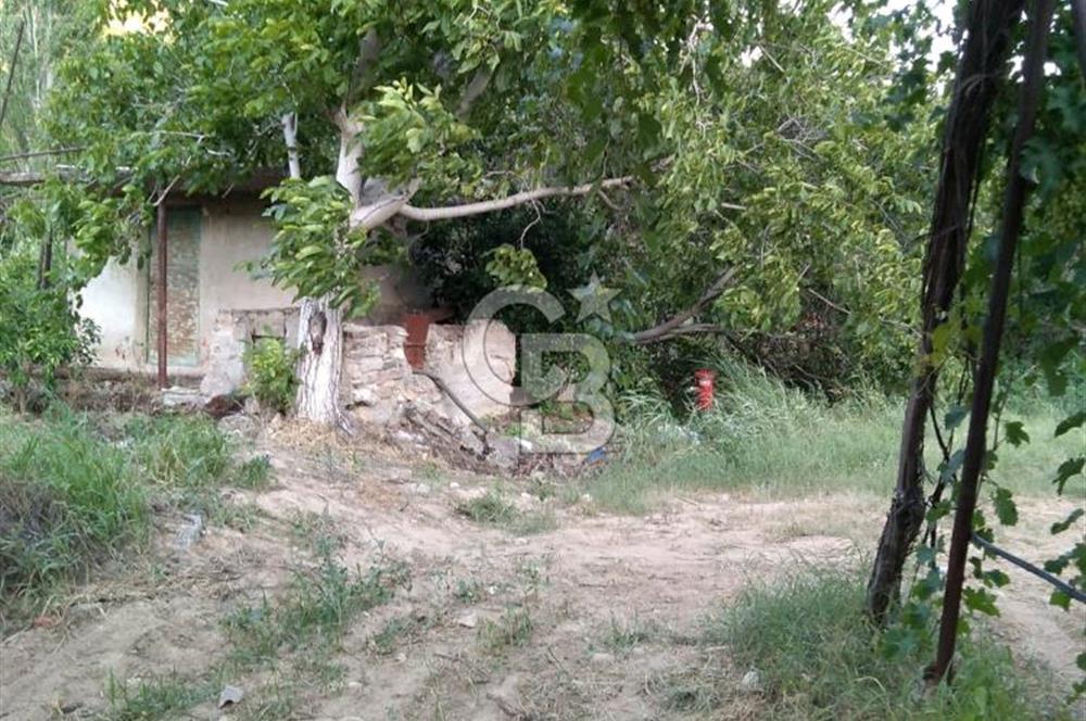Buldan Yenicekent'te Satılık Üzüm Bağı