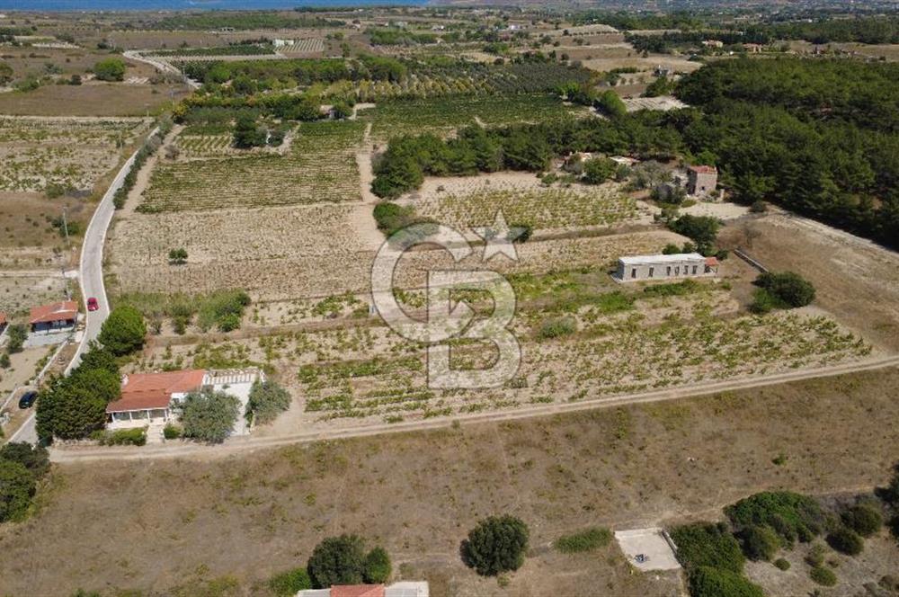 BOZCAADA CUMHURİYET MAHALLESİ’NDE DOĞAL TAŞ EV ve 1.768 m² ARSA