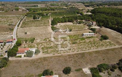 BOZCAADA CUMHURİYET MAHALLESİ’NDE DOĞAL TAŞ EV ve 1.768 m² ARSA