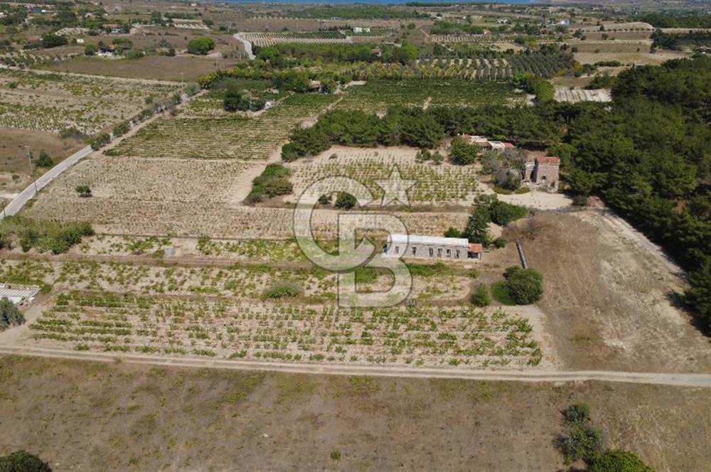 BOZCAADA CUMHURİYET MAHALLESİ’NDE DOĞAL TAŞ EV ve 1.768 m² ARSA