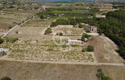 BOZCAADA CUMHURİYET MAHALLESİ’NDE DOĞAL TAŞ EV ve 1.768 m² ARSA