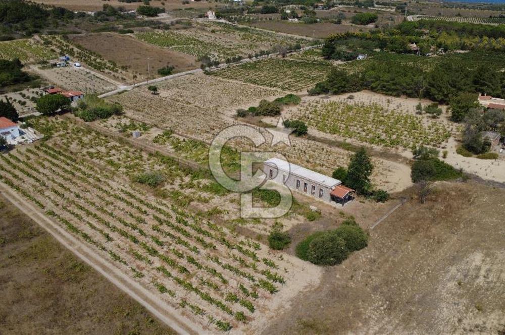 BOZCAADA CUMHURİYET MAHALLESİ’NDE DOĞAL TAŞ EV ve 1.768 m² ARSA
