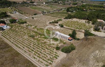BOZCAADA CUMHURİYET MAHALLESİ’NDE DOĞAL TAŞ EV ve 1.768 m² ARSA
