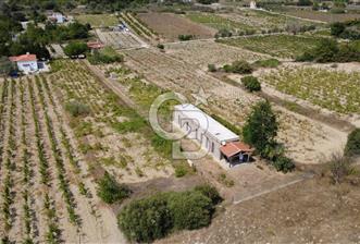 BOZCAADA CUMHURİYET MAHALLESİ’NDE DOĞAL TAŞ EV ve 1.768 m² ARSA