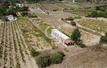 BOZCAADA CUMHURİYET MAHALLESİ’NDE DOĞAL TAŞ EV ve 1.768 m² ARSA