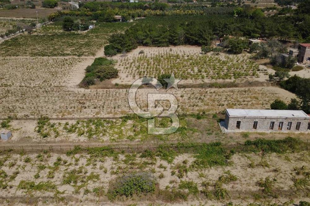BOZCAADA CUMHURİYET MAHALLESİ’NDE DOĞAL TAŞ EV ve 1.768 m² ARSA