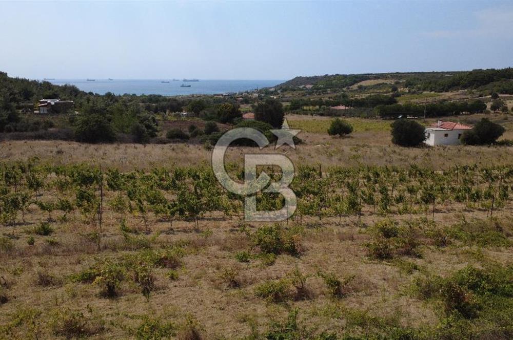 BOZCAADA CUMHURİYET MAHALLESİ’NDE DOĞAL TAŞ EV ve 1.768 m² ARSA