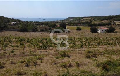 BOZCAADA CUMHURİYET MAHALLESİ’NDE DOĞAL TAŞ EV ve 1.768 m² ARSA