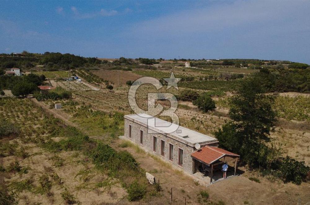 BOZCAADA CUMHURİYET MAHALLESİ’NDE DOĞAL TAŞ EV ve 1.768 m² ARSA
