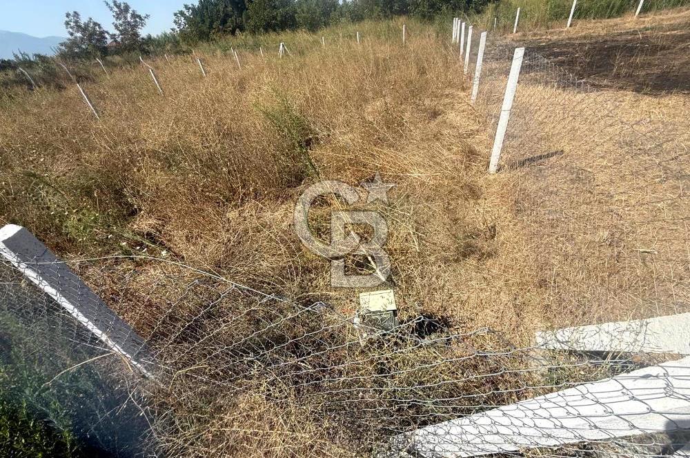 KEMALPAŞA ÖREN'DE YATIRIMLIK 201m2 HOBİ BAHÇESİ