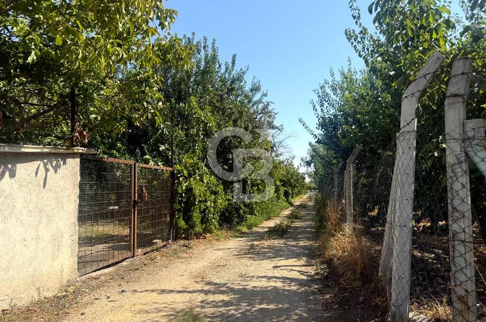KEMALPAŞA ÖREN'DE YATIRIMLIK 201m2 HOBİ BAHÇESİ