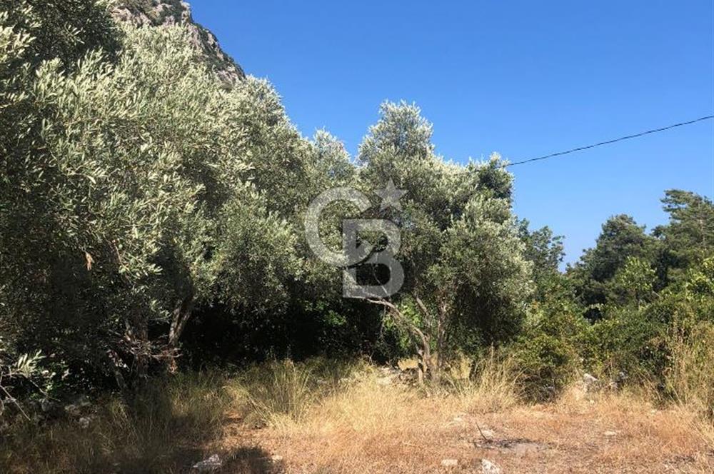 Marmaris’te 513m2 Müstakil Tapulu Bahçe