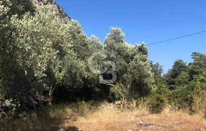 Marmaris’te 513m2 Müstakil Tapulu Bahçe