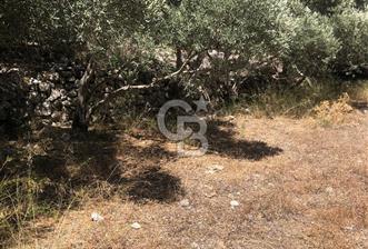 Marmaris’te 513m2 Müstakil Tapulu Bahçe
