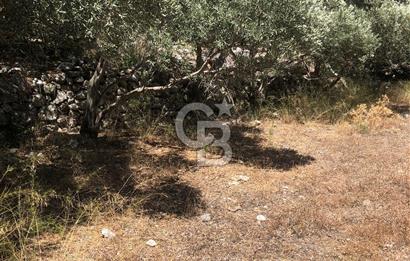 Marmaris’te 513m2 Müstakil Tapulu Bahçe
