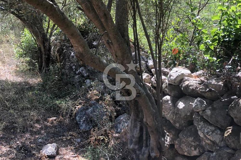 Marmaris’te 513m2 Müstakil Tapulu Bahçe
