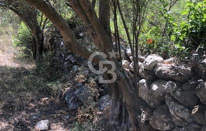 Marmaris’te 513m2 Müstakil Tapulu Bahçe