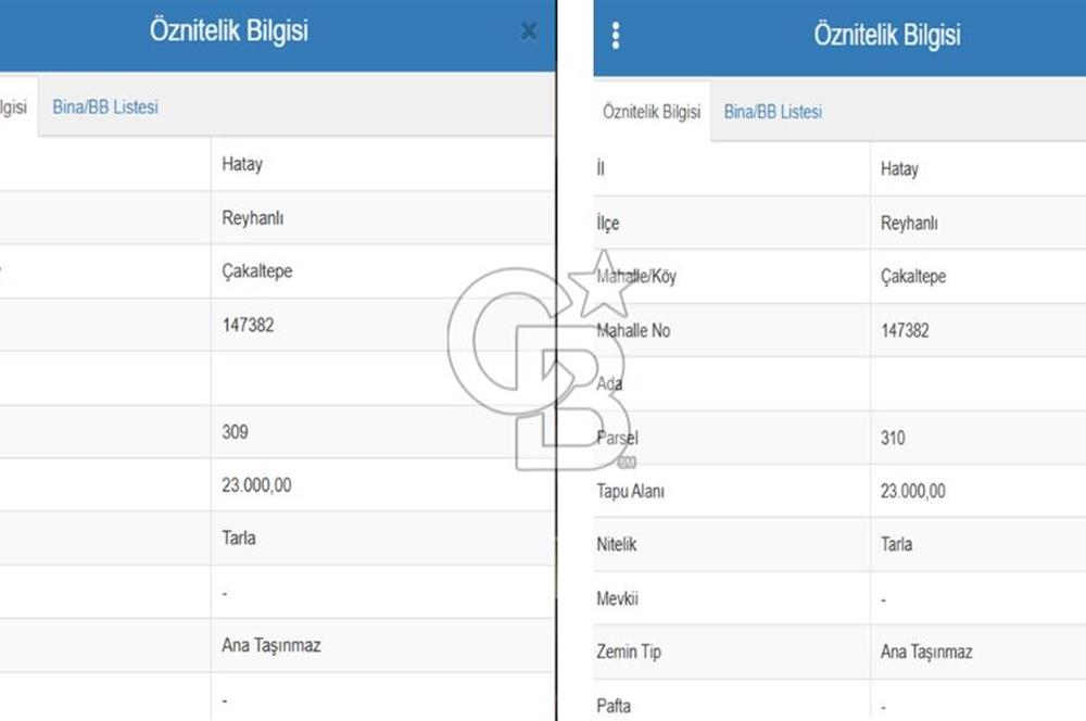 HATAY REYHANLI ÇAKALTEPE'DE YANYANA 2 PARSEL SATILIK TARLA