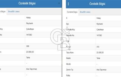 HATAY REYHANLI ÇAKALTEPE'DE YANYANA 2 PARSEL SATILIK TARLA
