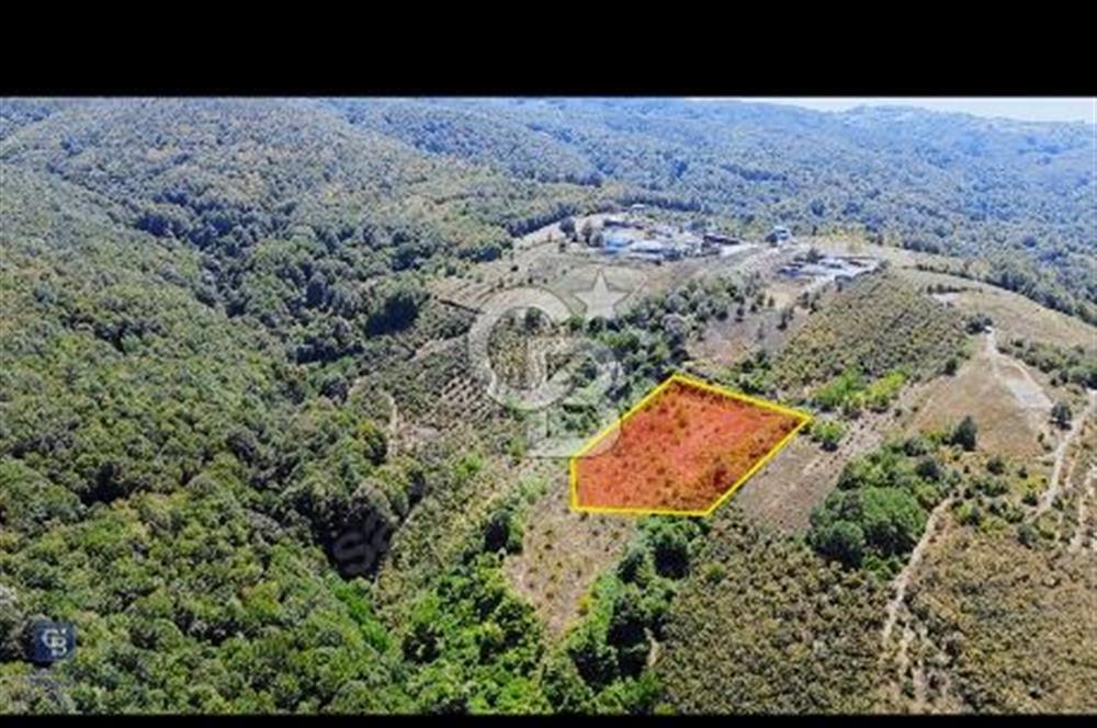  Kazımpaşa Meşeli'de Satılık Tarla - Kaçırmayın! 