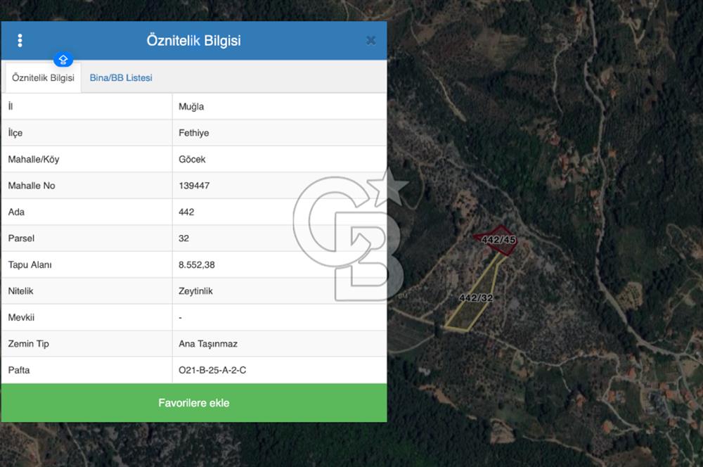 GÖCEK TE MARİNAYA YAKIN ZEYTİNLİK YATIRIM VE YAŞAM FIRSATI