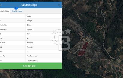 GÖCEK TE MARİNAYA YAKIN ZEYTİNLİK YATIRIM VE YAŞAM FIRSATI