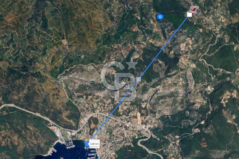 GÖCEK TE MARİNAYA YAKIN ZEYTİNLİK YATIRIM VE YAŞAM FIRSATI