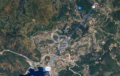 GÖCEK TE MARİNAYA YAKIN ZEYTİNLİK YATIRIM VE YAŞAM FIRSATI