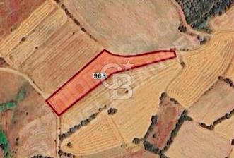 Çanakkale Biga Çelikgürü satılık tarla 5600m2