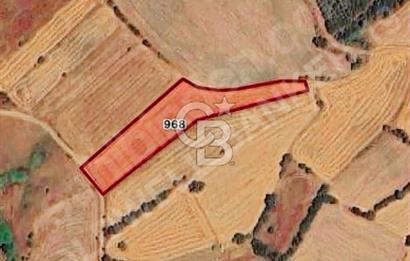 Çanakkale Biga Çelikgürü satılık tarla 5600m2