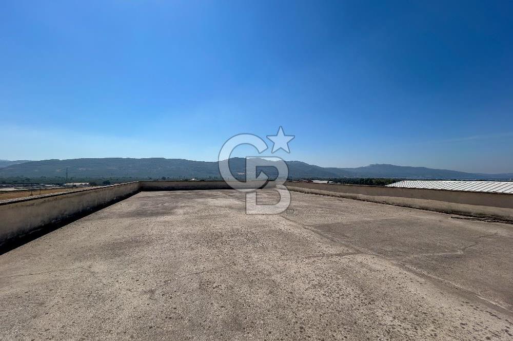 CB CLASS SATILIK SERBEST BÖLGE FABRİKA