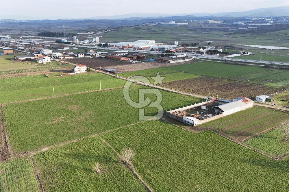 CB CLASS BURSA MKPAŞA GÜLLÜCE SATILIK ÇİFTLİK EVİ VE ARSASI