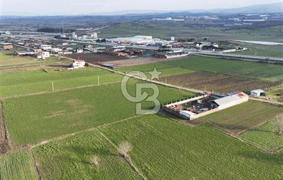 CB CLASS BURSA MKPAŞA GÜLLÜCE SATILIK ÇİFTLİK EVİ VE ARSASI