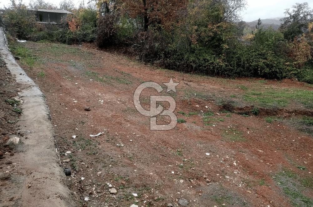 CB CLASS BURSA MUSTAFAKEMALPAŞA ŞAPÇI SATILIK ARSA