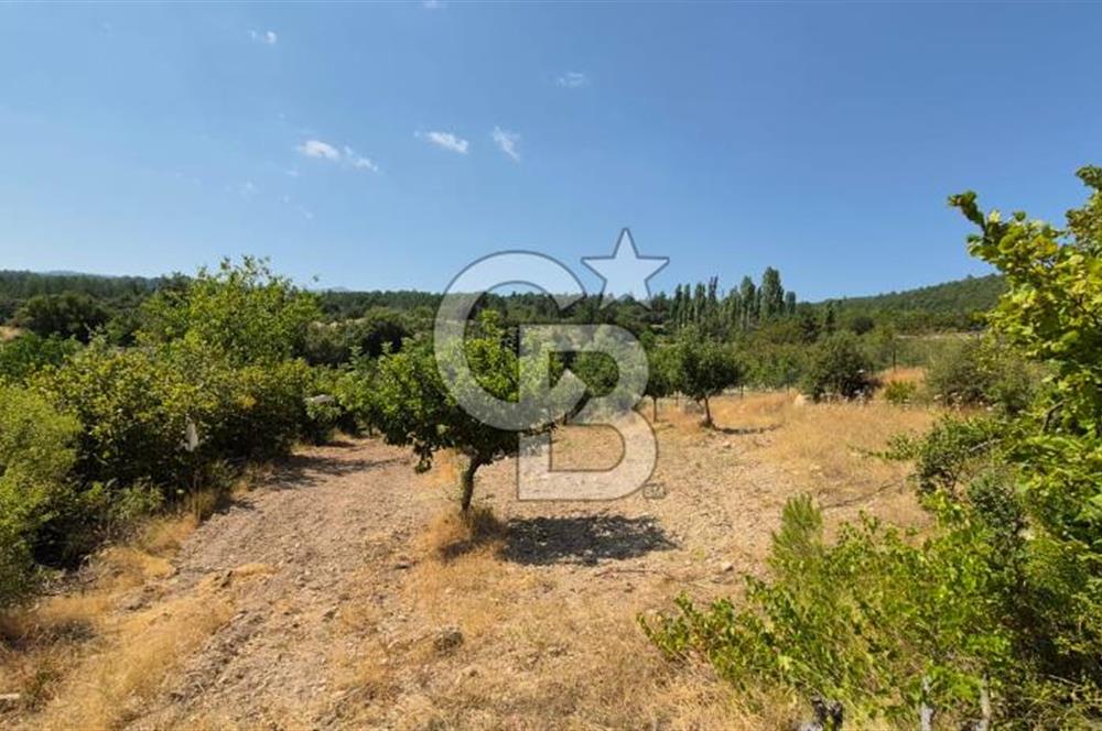 Çal Sakızcılar da 17.225 M² Satılık Karışık Meyve Bahçesi