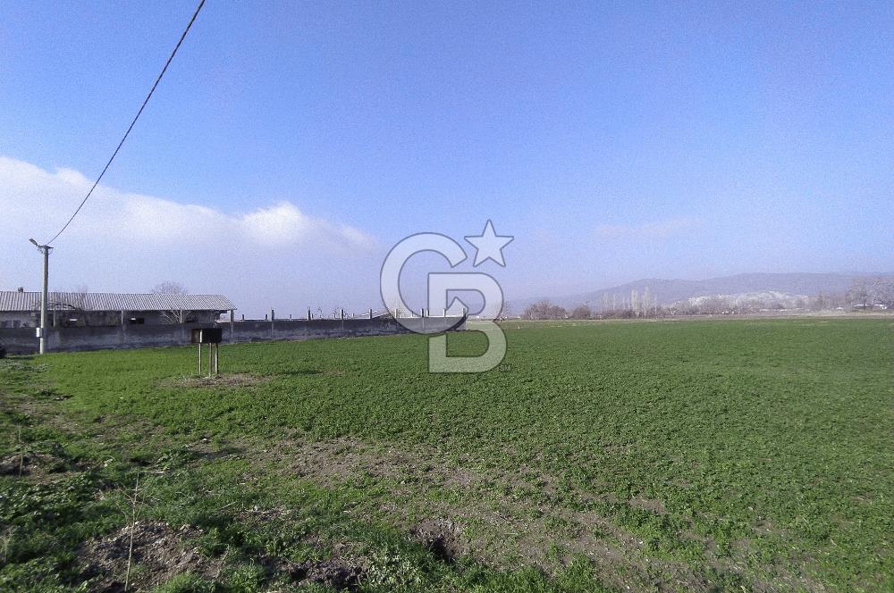CB CLASS BURSA MKPAŞA GÜLLÜCE SATILIK ÇİFTLİK EVİ VE ARSASI