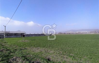 CB CLASS BURSA MKPAŞA GÜLLÜCE SATILIK ÇİFTLİK EVİ VE ARSASI