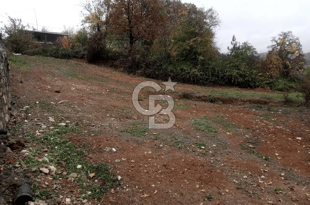 CB CLASS BURSA MUSTAFAKEMALPAŞA ŞAPÇI SATILIK ARSA